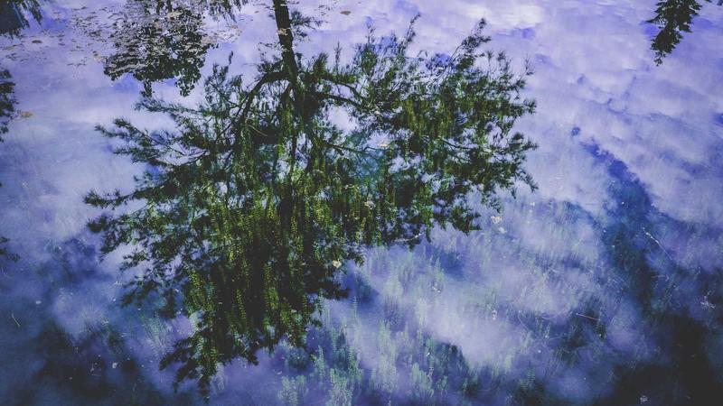 多米体育运动场景